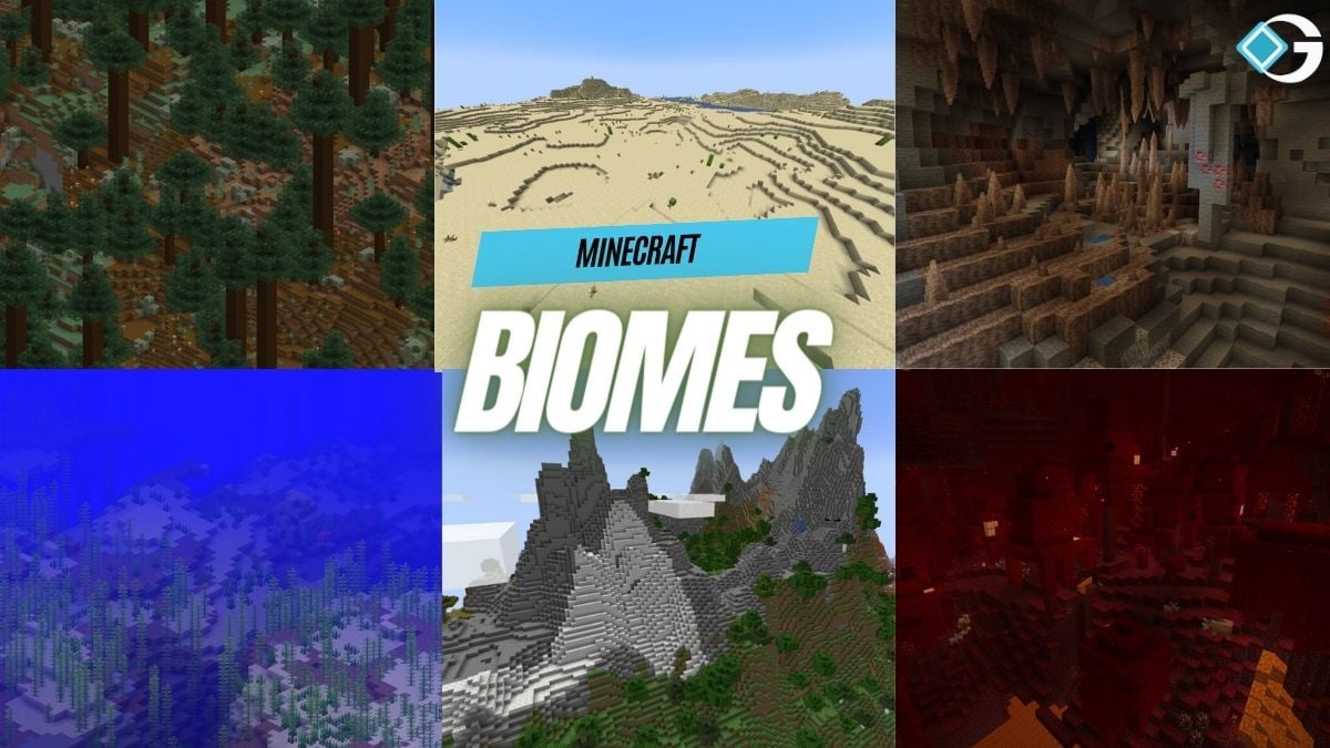 All Biomes Minecraft