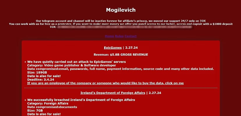 mogilevich's Message on the Website