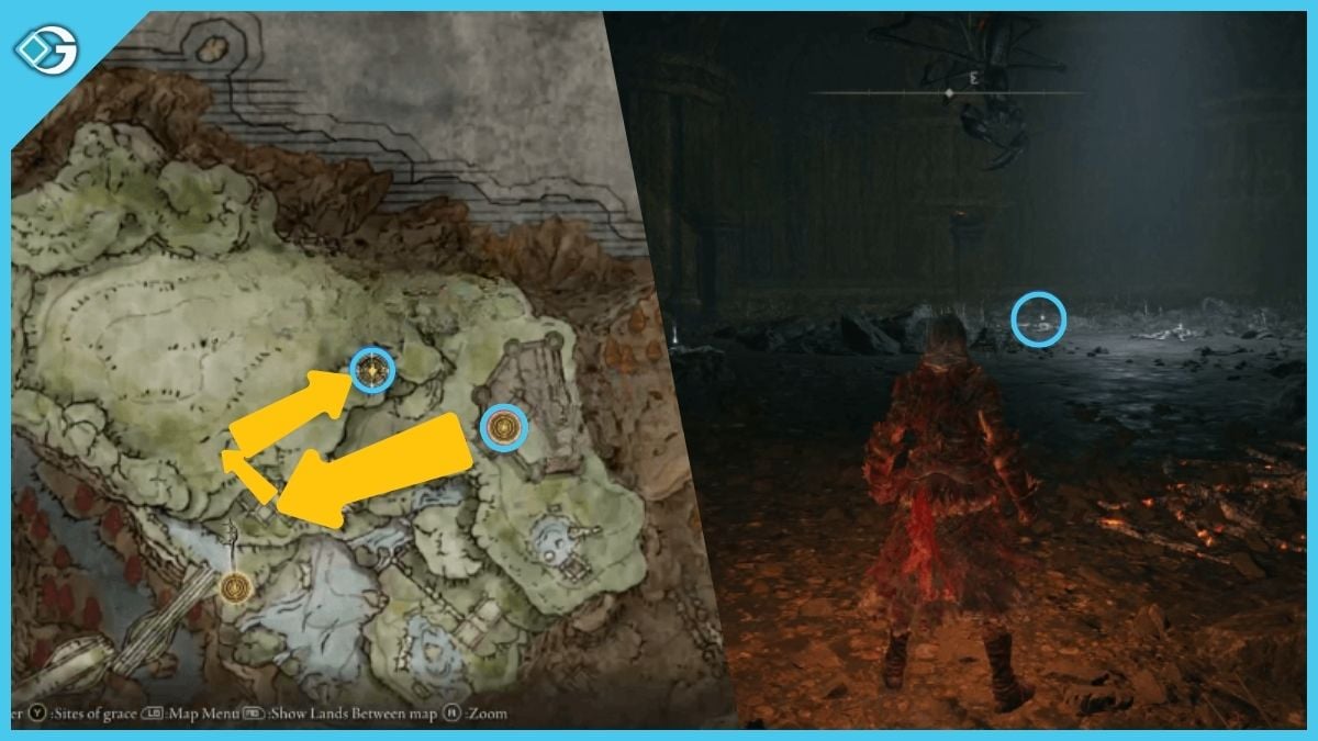 Spider Scorpion Ashes Location