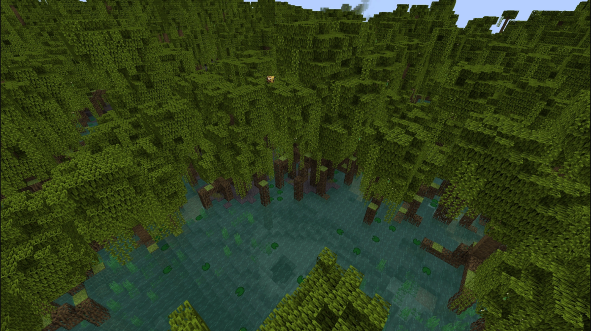 Wetland-Biomes